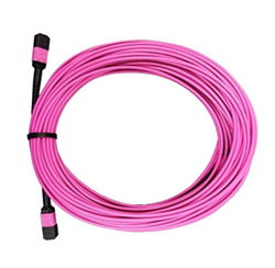 12 Core Male MPO Trunk Cable Multimode MTP MPO Patch Cord